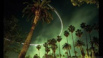 La Palm Trees Wallpaper Los Angeles By