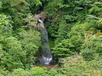 Beautiful Wallpaper And Image Waterfall Jungle
