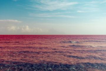 How The Greenback Turned Bitcoin And Crypto Into A Sea Of Red