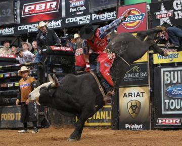 Bull Riding Wallpaper