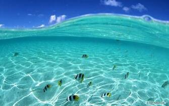 Wallpaper Clear Water And Blue Sky
