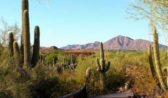 Desert Landscape Wallpaper
