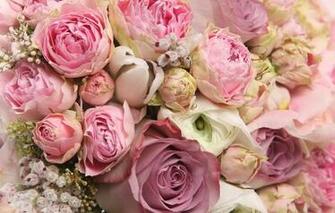 Pretty iPhone Wallpaper Background Theme Apps Games And Ringtones