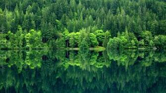 National Park Peninsula Washington State Crescent Forests Wallpaper