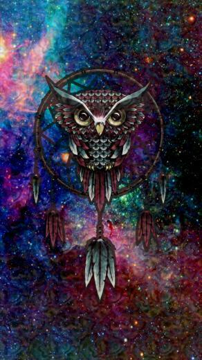 Hipster Owl Wallpaper Hipsterowlwallpaper Triangle