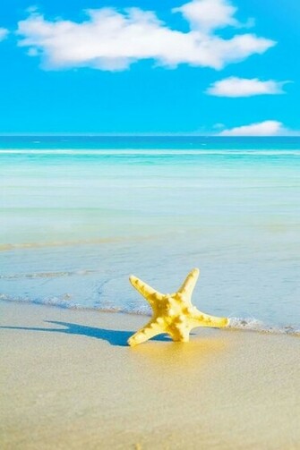 Maldives Summer Beach iPhone HD Wallpaper