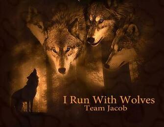 Twilight Wolf Pack Graphics Code Comments