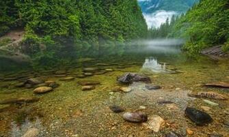 Forest Mountains Canada British Columbia Wallpaper
