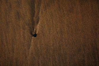 Mac Os Wallpaper