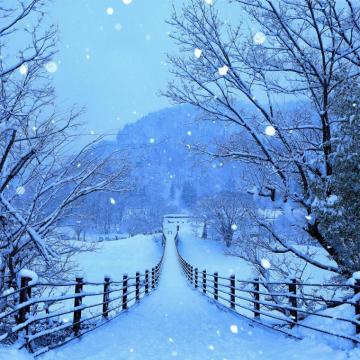 Winter Roads Of Japan 4k iPad Pro Wallpaper
