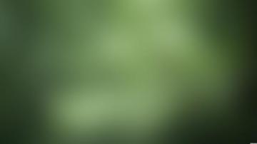 New Gallery Of Grey And Green Wallpaper All