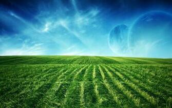 Green Field Widescreen Wallpaper