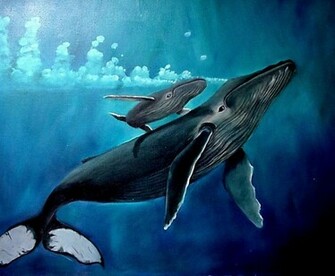 Cute Whale Background Wallpaper
