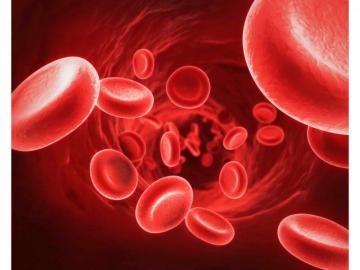 Red Blood Cells Mapcards Net