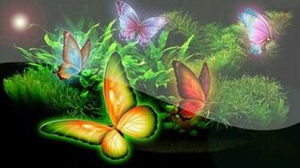Butterfly Garden High Quality And Resolution Wallpaper