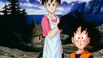 Videl Wallpaper