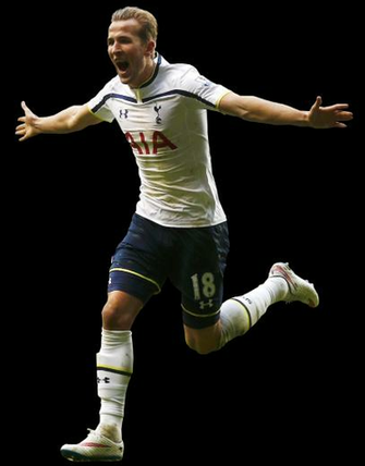 Harry Kane Babes HD Wallpaper