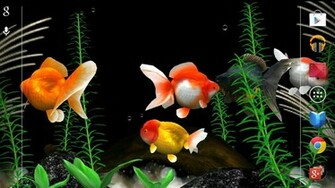 Gold Fish 3d Live Wallpaper Android Apps On Google Play
