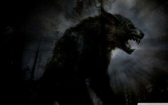 Black Wolf Wallpaper Best HD