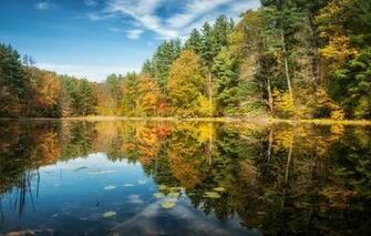 Cell Phone Screensavers Wallpaper Nature Android