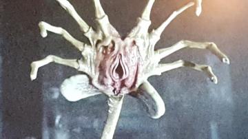 Facehugger From Aliens V Predator On Pause Um Wait What