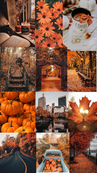 Fall Phone Wallpaper