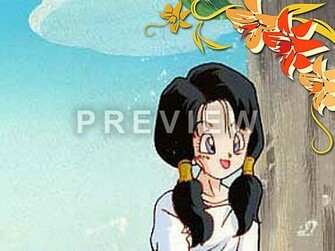 Videl Form Dbz Wallpaper