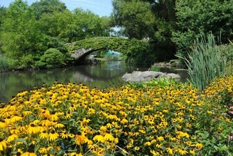 Central Park Ny Desktop And Mobile Wallpaper Wallippo