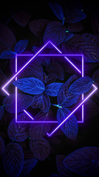 4k Neon iPhone Leaves With Lights Wallpaper
