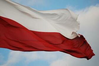 Flags Texas Wallpaper