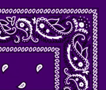 Bandana Paisley Dark Purple Grape Pet Food Warehouse