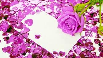 Violet Rose Wallpaper