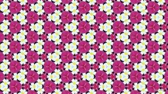 White And Pink Flower Pattern Barbaras HD Wallpaper
