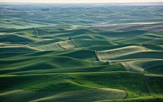 Washington State Usa Wallpaper And Image Pictures