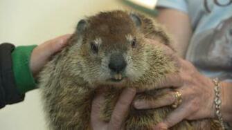 Groundhog Day Wallpaper Image