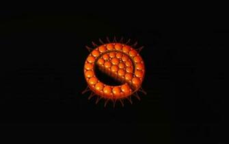 Wallpaper Enlightenment Orange