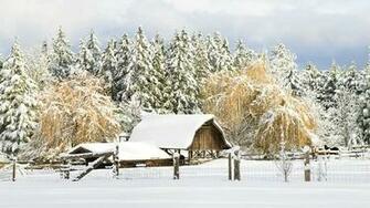 Nature Snow