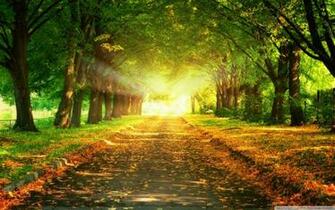 Autumn Path Wallpaper Belles Image Fond D Cran