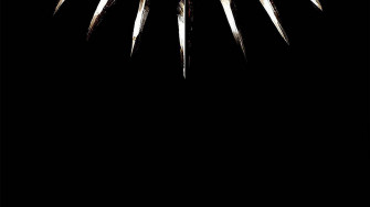 Simple Black Panther Claw Necklace 6mjsq3fp5iilv54j Wallpaper