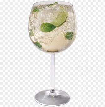 Teissiere Hugo Png Gin And Tonic Image With Transparent