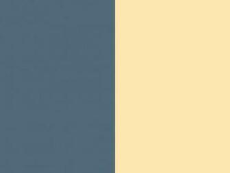 Resolution Paynes Grey And Peach Solid Two Color