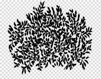 Trees And Twigs Brushes Black White Abstract Painting