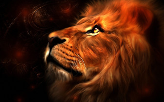 Lions Wallpaper