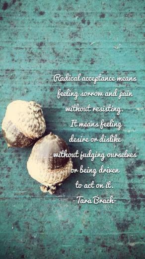 Buddha Quote iPhone Wallpaper With