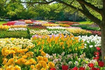 Spring Image Wallpaper Photos