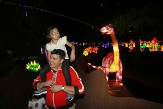 Chinese Lantern Festival To Reopen At Fair Park For Second Run