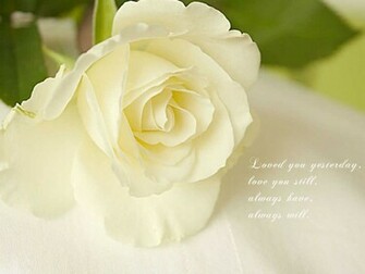 Love Quotes Background Wallpaper High Definition Quality