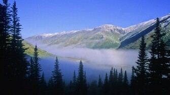 Winter Widescreen Wonderland Wallpaper