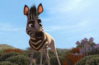 Khumba 745462l Jpg The Zebra