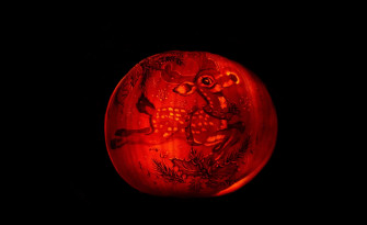 Cute Pumpkin Animal Carved Picture Wallpaper